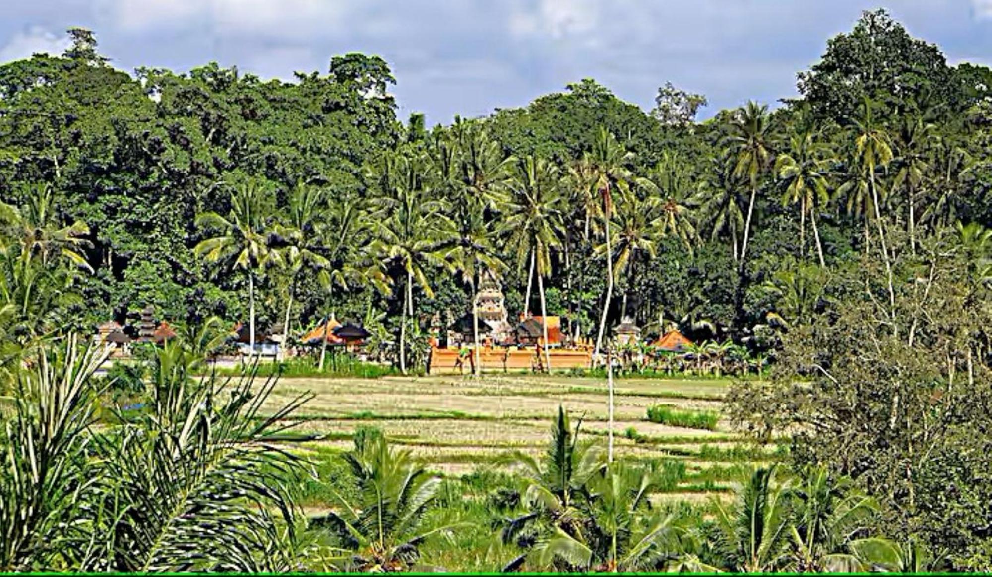 Villa Ria Sayan Ubud  Exterior photo